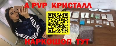 стафф Моздок
