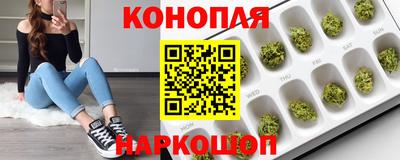 стафф Моздок