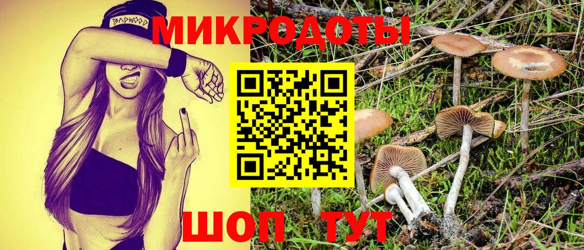 Галлюциногенные грибы прущие грибы Пыть-Ях