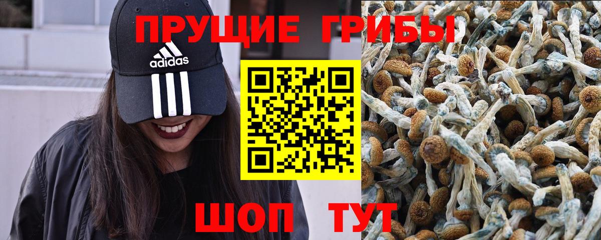 Галлюциногенные грибы MAGIC MUSHROOMS  Вход с VPN  Пыть-Ях 